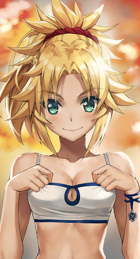1girl :&gt; bandeau blonde_hair blush braid commentary_request fate/apocrypha fate_(series) french_braid green_eyes hair_ornament hair_scrunchie looking_at_viewer mordred_(fate) mordred_(fate)_(all) ponytail red_scrunchie scrunchie smile solo sunset tonee