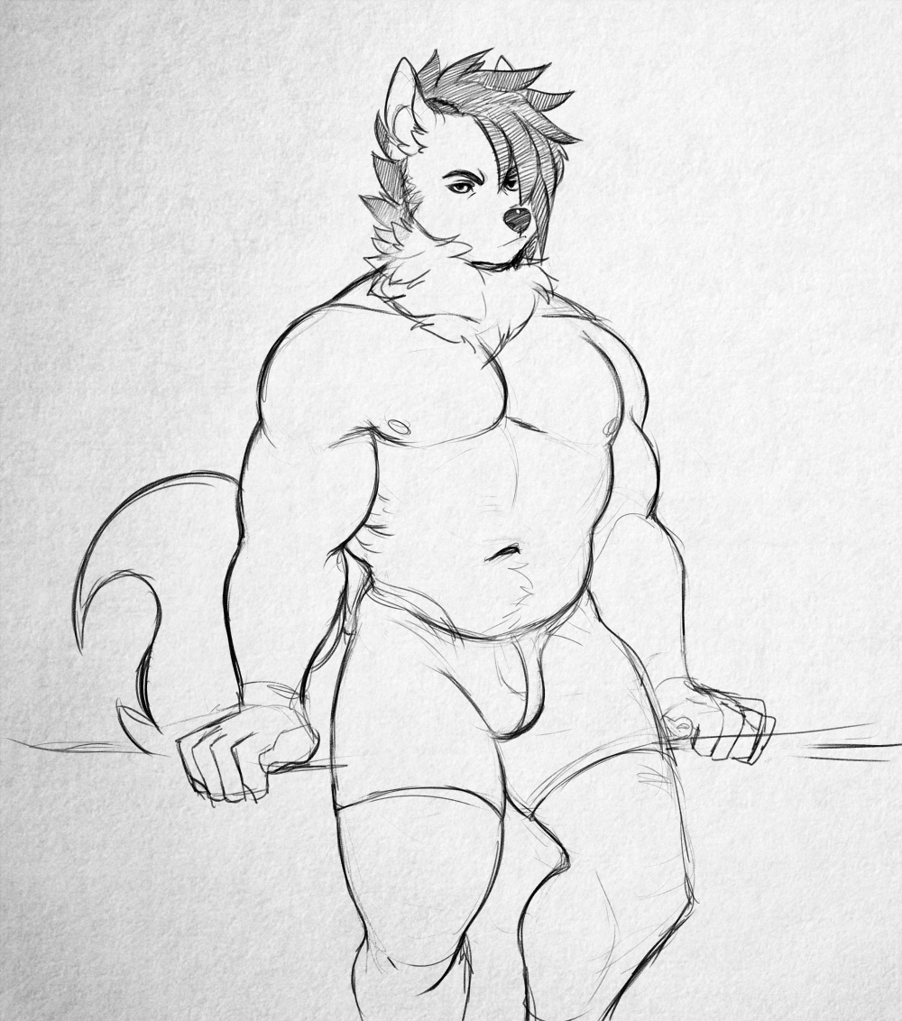 anthro bulge canine clothed clothing fur hair higgyy looking_at_viewer male mammal monochrome muscular sketch solo topless underwear