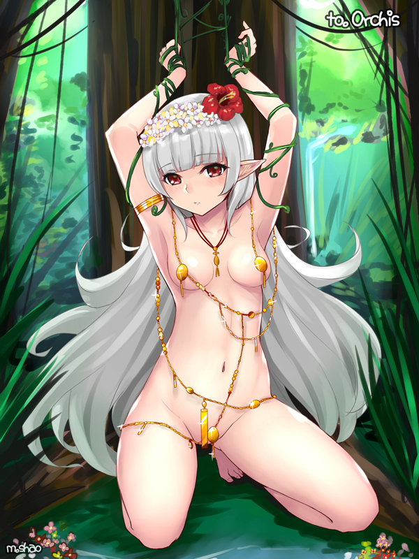 armlet armpits arms_up artist_name bangs bdsm blunt_bangs blush body_jewelry bondage bound breasts brown_eyes closed_mouth collarbone day dungeon_and_fighter eyebrows_visible_through_hair forest grass grey_hair jewelry kneeling long_hair looking_at_viewer nature navel outdoors parted_lips plant pointy_ears revealing_clothes shaojiang signature silver_hair small_breasts solo thighs tree very_long_hair vines