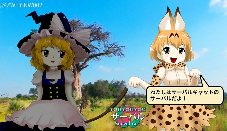 animal_ears apron banned_artist black_dress blonde_hair bow bowtie braid crossover dress elbow_gloves frilled_dress frills gloves hat hat_bow kemono_friends kirisame_marisa kisaragi_zwei multiple_girls oota_jun'ya_(style) paw_pose puffy_short_sleeves puffy_sleeves serval_(kemono_friends) serval_ears serval_print short_hair short_sleeves side_braid single_braid smile touhou translated twitter_username waist_apron witch_hat yellow_eyes