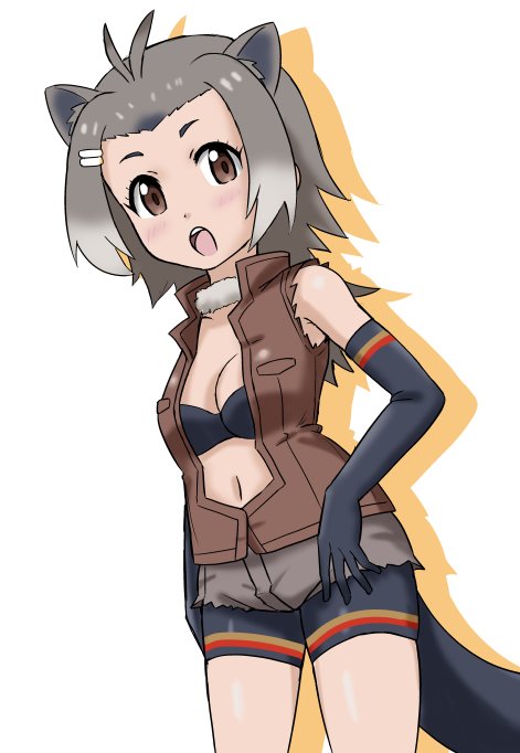 1girl animal_ears animal_tail beaver_ears beaver_tail bike_shorts bikini_top blush breasts brown_eyes cleavage elbow_gloves gradient_hair grey_hair kemono_friends looking_at_viewer navel north_american_beaver_(kemono_friends) open_jacket open_mouth shorts solo