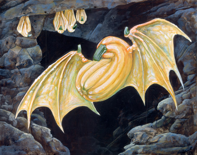ambiguous_gender bat cave feral food group hybrid mammal membranous_wings solo_focus squash story story_in_description ursula_vernon vegetable wings