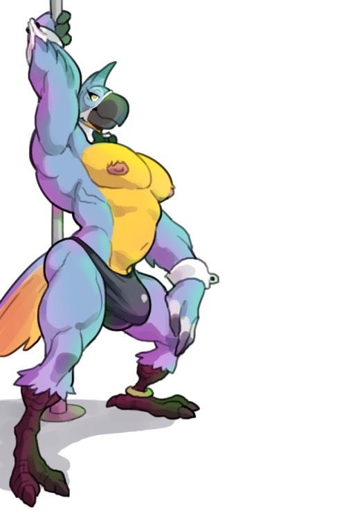 anthro avian beak biceps bird blue_feathers bow_tie breath_of_the_wild bulge clothing dancing feathers kass_(zelda) male muscular nintendo nude pecs pole pole_dancing rito solo standing stripper talons the_legend_of_zelda thong toomanyboners video_games yellow_eyes yellow_feathers