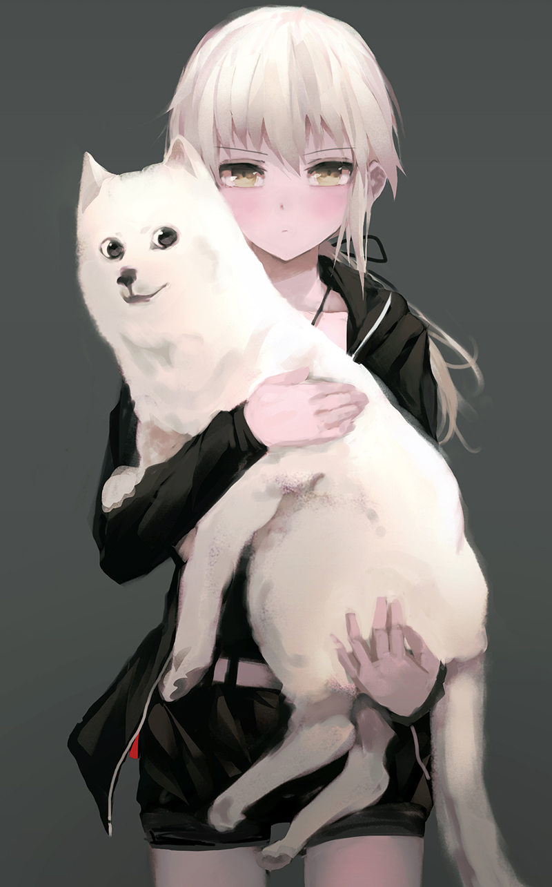 artoria_pendragon_(all) bad_id bad_pixiv_id belt black_ribbon blush closed_mouth cowboy_shot dog doge fate/grand_order fate_(series) hair_ribbon highres hood hoodie long_hair long_sleeves looking_at_viewer low_ponytail open_clothes open_hoodie revision ribbon saber_alter shorts silver_hair yellow_background zen_o