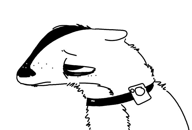 anthro badger black_and_white collar disney fan_character fur half-closed_eyes male mammal monochrome mustelid pack_street sad shock_collar simple_background solo t_rex_(weaver) the_weaver white_background zootopia