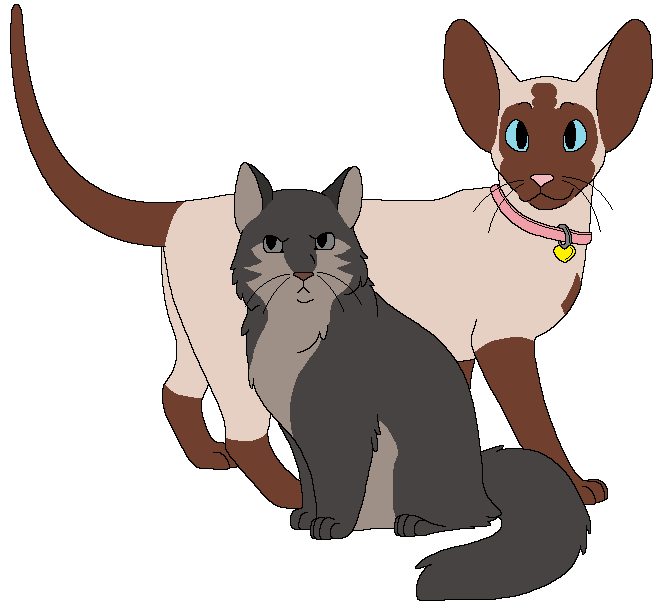 2015 aliasing alpha_channel alternate_species ambiguous_gender annoyed birman_cat blue_eyes bluekyokitty brown_body brown_fur brown_inner_ear brown_nose collar collar_tag countershade_fur countershading digital_drawing_(artwork) digital_media_(artwork) digitigrade domestic_cat fae_(serenity) felid feline felis feral flat_colors fur grey_body grey_countershading grey_eyes grey_fur grey_inner_ear heart_collar_tag himalayan_cat jasper_(serenity) mammal mixed_breed oriental_shorthair paws pink_collar pink_nose pupils raised_tail sebdoggo serenity_(comic) simple_background sitting slit_pupils smile standing tail tan_body tan_fur transparent_background whiskers