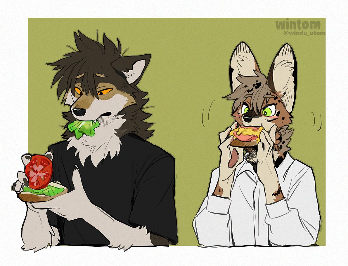2024 anthro bacon bread canid canine canis cheese clothed clothing comic compression_artifacts cute_fangs dairy_products digital_media_(artwork) duo eating felid feline food fruit fur hair happy holding_food holding_object holding_sandwich kemono lettuce looking_at_food looking_at_object male male_anthro mammal meat multicolored_body multicolored_fur multicolored_hair open_mouth plant sandwich_(food) serval sharing simple_background tomato tongue vegetable white_background windwttom wolf