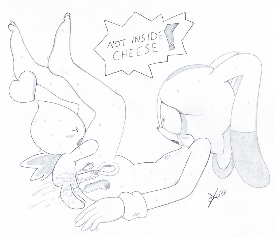 cheese_the_chao cream_the_rabbit excito sonic_team tagme
