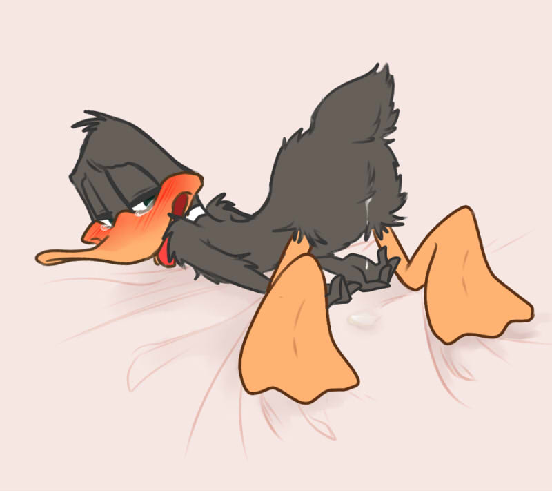 after_sex anthro ass_up avian bed_sheet bedding bird blush cum_from_ass daffy_duck drooling duck feathers feet green_eyes half-closed_eyes looking_back looney_tunes male open_mouth saliva simple_background tears tongue tongue_out warner_brothers zehn