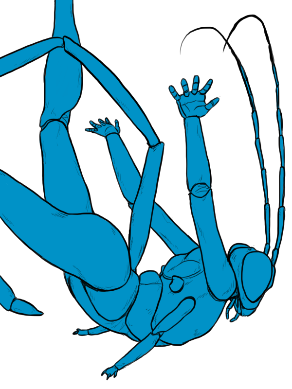 2016 3_fingers 4_arms 5_fingers abc_insects abdomen ambiguous_gender anatomically_correct antennae anthro arms_above_head arthropod athletic blue_and_white blue_eyes blue_skin compound_eyes digital_drawing_(artwork) digital_media_(artwork) exoskeleton falling flat_chested hands_behind_back insect looking_down mandibles monochrome multi_arm multi_limb nude pelecinid_wasp portrait raised_leg side_view simple_background skelebee sketch solo three-quarter_portrait wasp white_background
