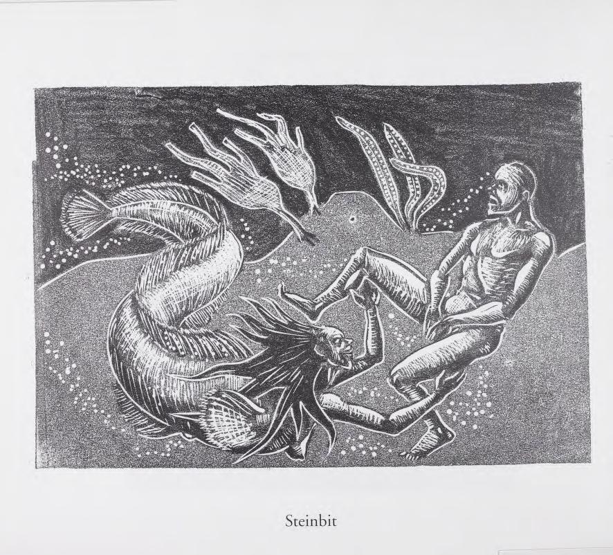 2000 anthro black_and_white breasts bubble covering covering_crotch duo female hair human human_on_anthro interspecies karl_gustav_gjertsen male male/female mammal monochrome nude outside seaweed spread_legs spreading traditional_media_(artwork) underwater water wolffish
