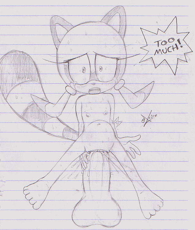 excito marine_the_raccoon sonic_team tagme