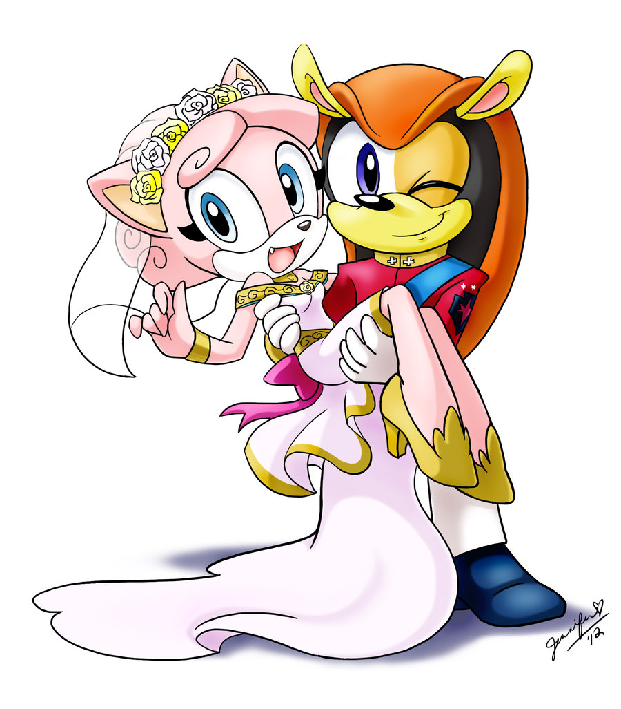 anthro armadillo breasts carrying cat chibi-jen-hen clothing cosplay crystal_the_cat cute_fangs duo fan_character feline female fur male male/female mammal mighty_the_armadillo one_eye_closed pink_fur prince princess princess_mi_amore_candace romantic_couple royalty shining_armor_(cosplay) smile sonic_(series)