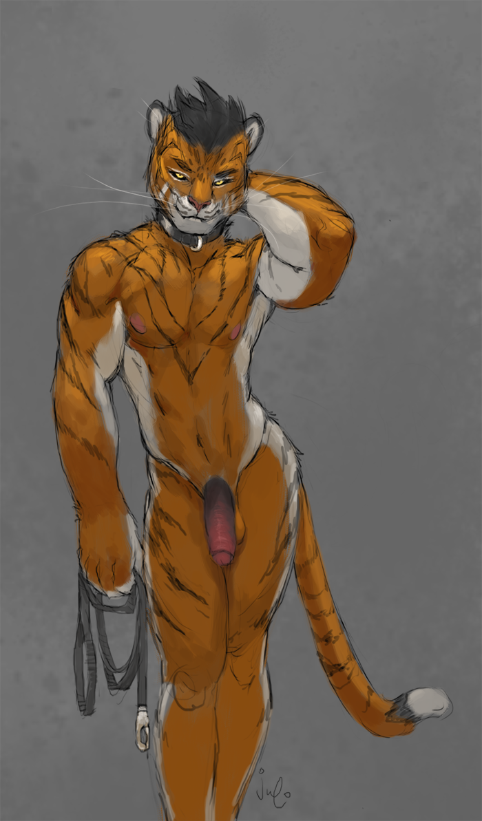anthro balls collar feline flaccid humanoid_penis julicat looking_at_viewer male mammal nipples partially_retracted_foreskin penis sketch smile solo standing tiger uncut