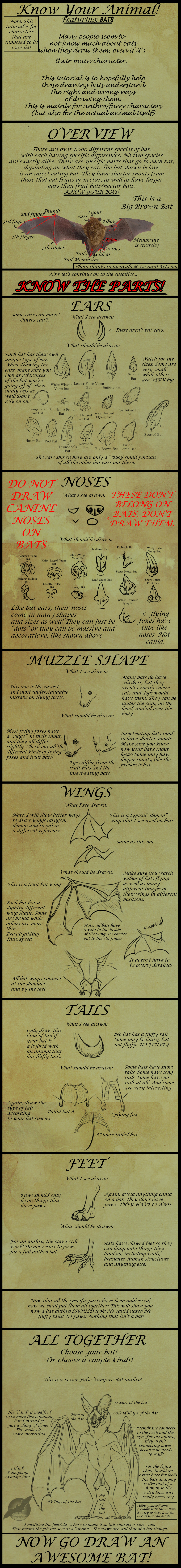 anthro bat bat_wings big_brown_bat digitigrade featureless_crotch feral flying_fox free-tailed_bat how-to leaf_nose mammal membranous_wings patagium plagiopatagium realistic_wings shorty-antics-27 the_more_you_know uropatagium vampire_bat winged_arms wings