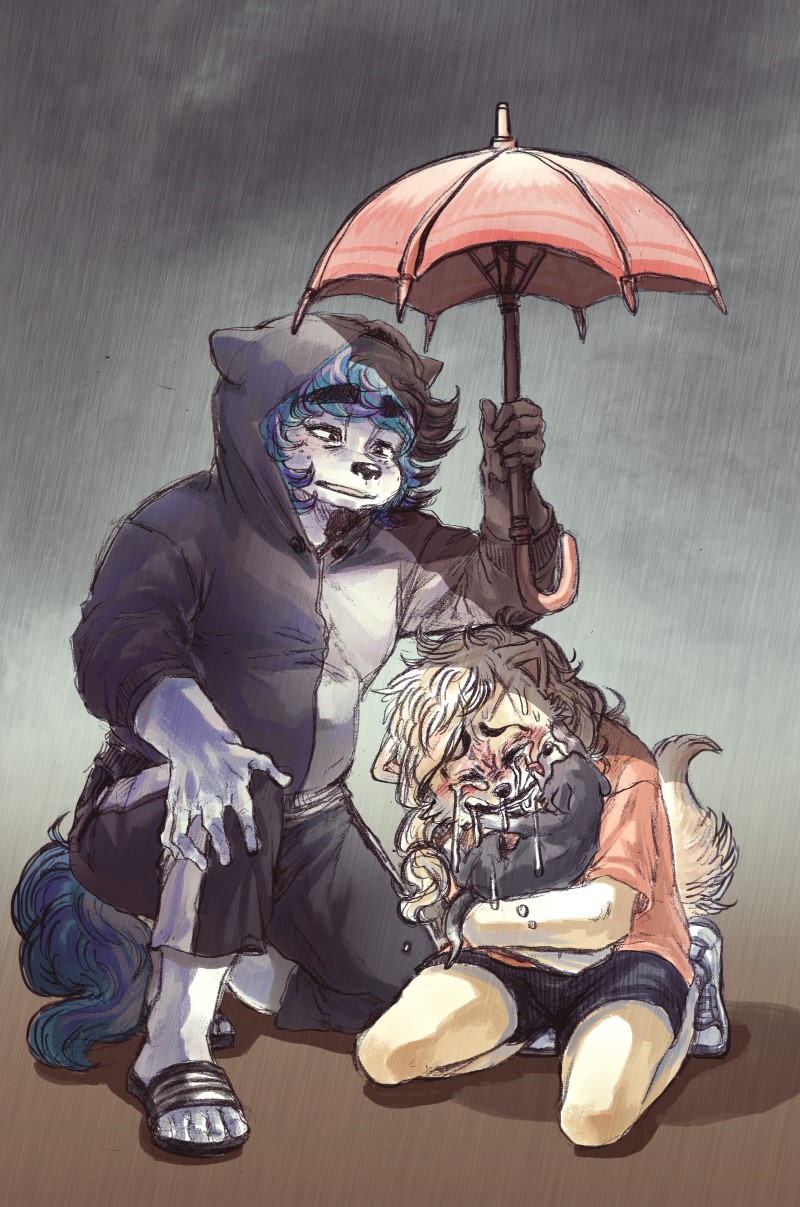 2017 5_fingers 5_toes ambiguous_gender anthro belly big_eyebrows black_bottomwear black_clothing black_topwear blue_fur blue_hair blush brown_background canine clothed clothing cloud cradling crying cub digital_media_(artwork) digital_painting_(artwork) dog duo_focus fangs feet female feral fluffy fluffy_tail footwear freckles front_view frown full-length_portrait fur gradient_background grey_background grey_clothing grey_fur group hair hand_on_leg holding_character holding_object holding_umbrella hoodie hug humanoid_feet humanoid_hands hwi-jeong_(ryonggay) hybrid jindo kemono kishu_inu kneeling licking licking_face long_hair looking_down male mammal mixed_media multicolored_fur nude on_one_knee outside paws pet pink_clothing pink_topwear portrait raining raised_tail runny_nose ryonggay sandals scar shirt shoes short_hair shorts simple_background sitting size_difference slightly_chubby sneakers sobbing tears toes tongue tongue_out traditional_media_(artwork) two_tone_fur umbrella wet white_clothing white_fur white_hair wolf yong-sil_(ryonggay) young