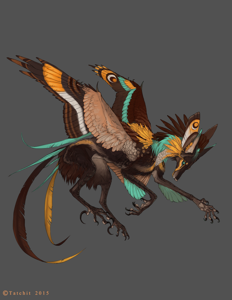 2015 ambiguous_gender blue_eyes brown_feathers canine claws feathered_wings feathers feral grey_background grey_feathers hybrid mammal simple_background solo tatchit wings