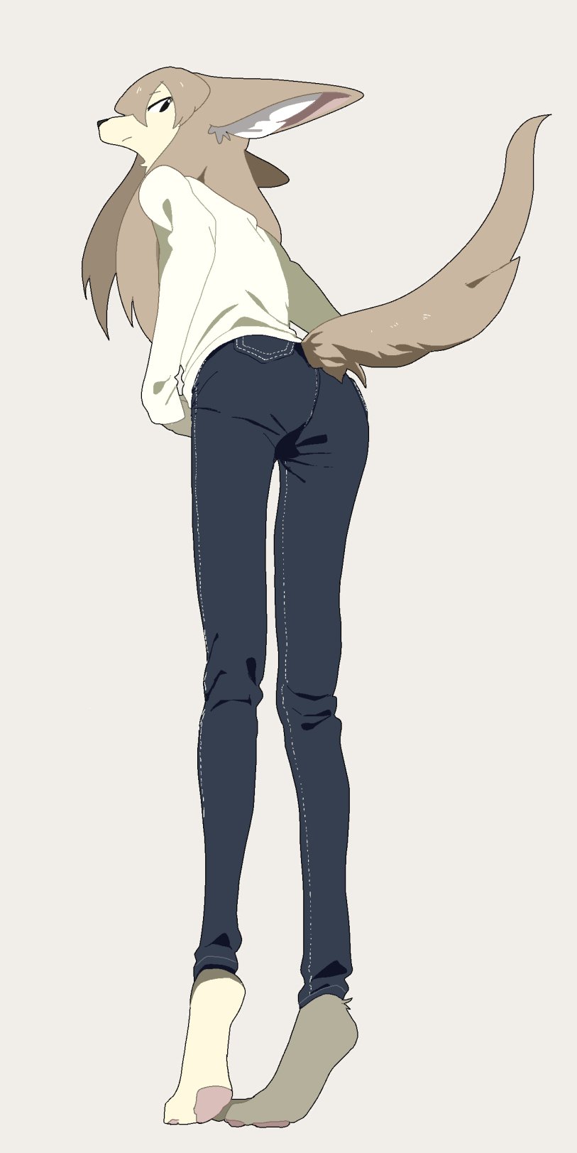 2018 anthro brown_hair butt canine clothed clothing female fluffy fluffy_tail fur hair hi_res inner_ear_fluff looking_back mammal pants simple_background solo sweater tan_fur taracod white_background