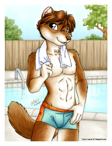 2017 anthro blue_eyes brown_hair brown_nose clothed clothing dane_locke fur hair male mammal michele_light mustelid navel solo swimming_pool swimming_trunks swimsuit topless towel weasel