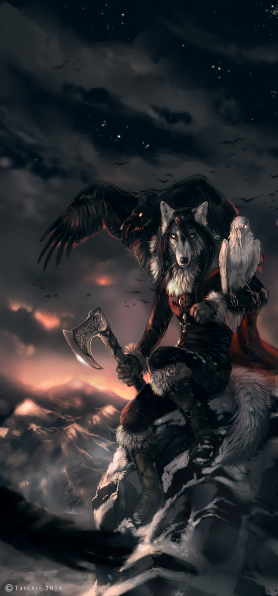 2016 5_fingers avian bird black_feathers black_hair canine clothed clothing day detailed_background feathered_wings feathers feral fur group hair mammal outside sky star starry_sky tatchit white_feathers white_fur wings wolf