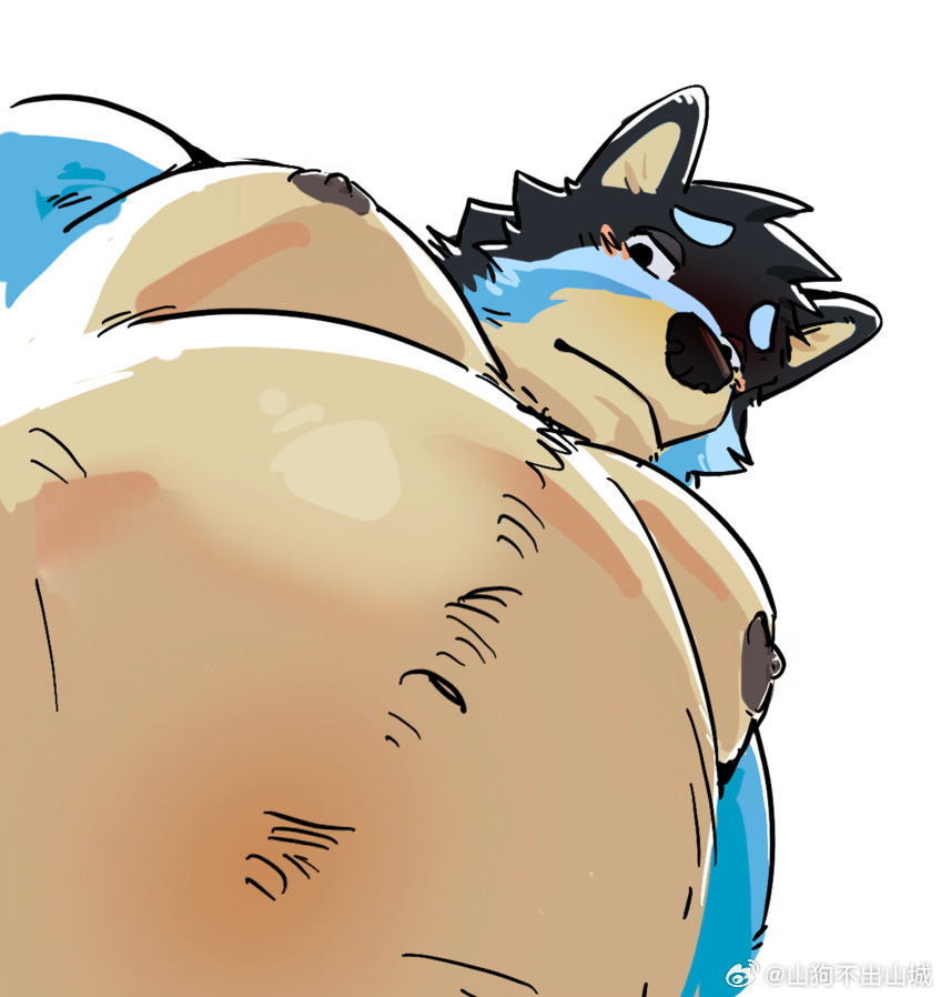 1boy artist_request bandit_heeler bara belly blue_fur bluey dog_boy fat fat_man foreshortening from_below furry furry_male large_pectorals light_blush looking_at_viewer looking_down male_focus mature_male meme muscular muscular_male navel nipples nude pectorals photo-referenced short_hair solo sparse_navel_hair thick_eyebrows upper_body white_background yur_oc_like_this_(meme)