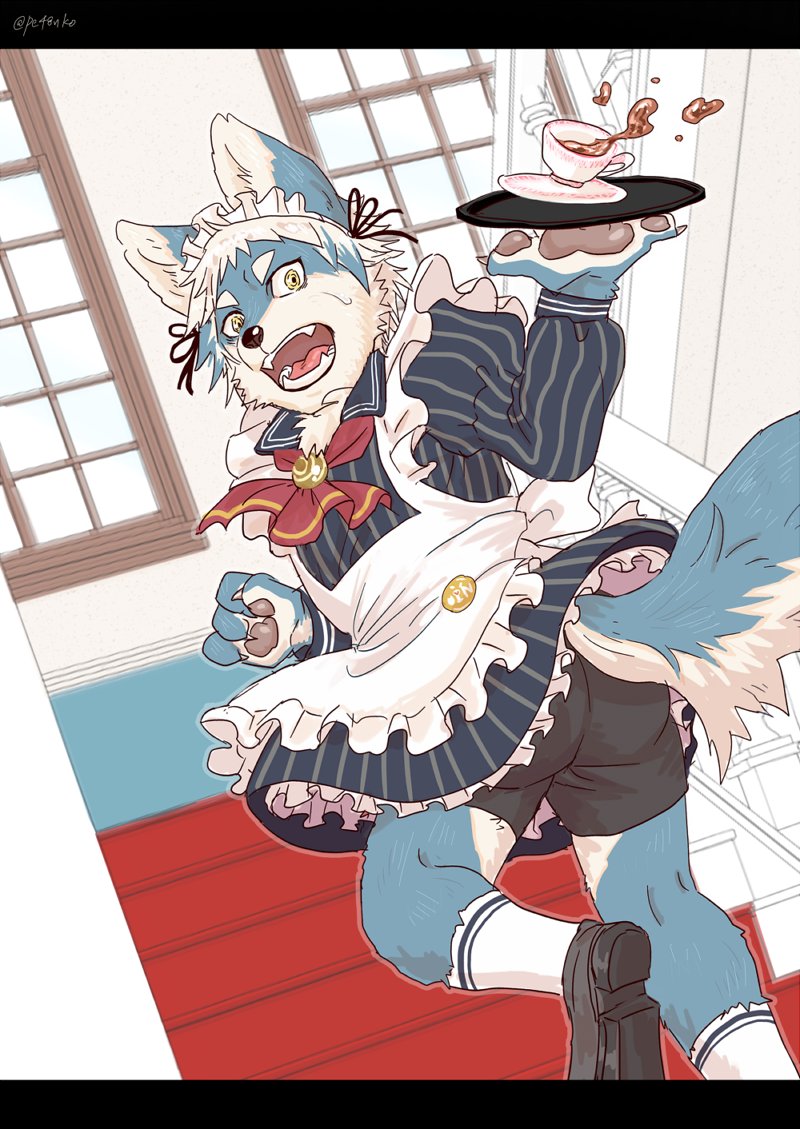 2017 anthro beverage butt canine clothed clothing crossdressing cup d: detailed detailed_background dilated_pupils fully_clothed inside kemono looking_at_viewer looking_down low-angle_view maid_uniform male male_focus mammal muscular muscular_male open_mouth pawpads pe48nko plantigrade reaction_image running shocked solo spill sweat sweatdrop tea tea_cup translated_description uniform wide_eyed yellow_eyes