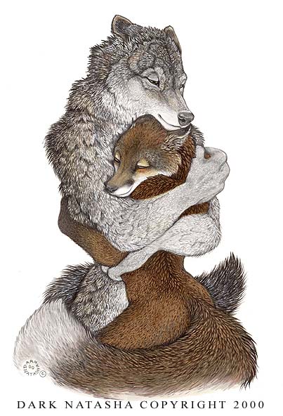 2000 ambiguous_gender anthro big_tail biped black_fur black_nose black_tail brown_fur brown_tail canine dark_natasha dipstick_tail duo eyes_closed fluffy fluffy_tail fox fur grey_fur grey_nose grey_wolf hug larger_anthro larger_male long_tail male male/ambiguous mammal multicolored_fur multicolored_tail nude signature simple_background size_difference smaller_ambiguous smaller_anthro snout standing traditional_media_(artwork) two_tone_tail white_background white_fur white_tail wolf