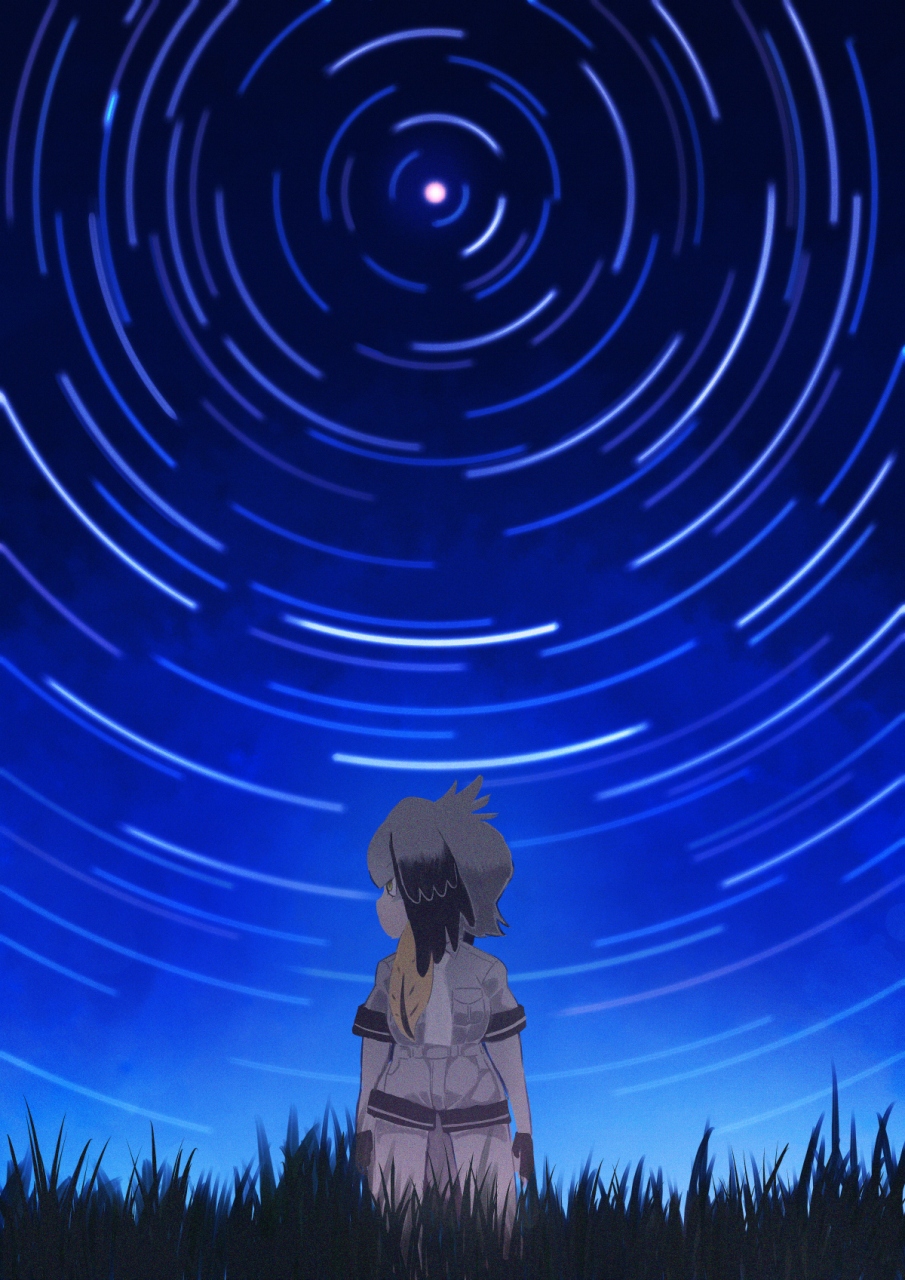 black_gloves black_hair collared_shirt commentary_request fingerless_gloves gloves grey_hair grey_shirt highres kemono_friends long_hair looking_to_the_side multicolored_hair necktie polaris_(star) shirt shoebill_(kemono_friends) sky solo star_(sky) star_trail starry_sky tanaka_kusao tsurime