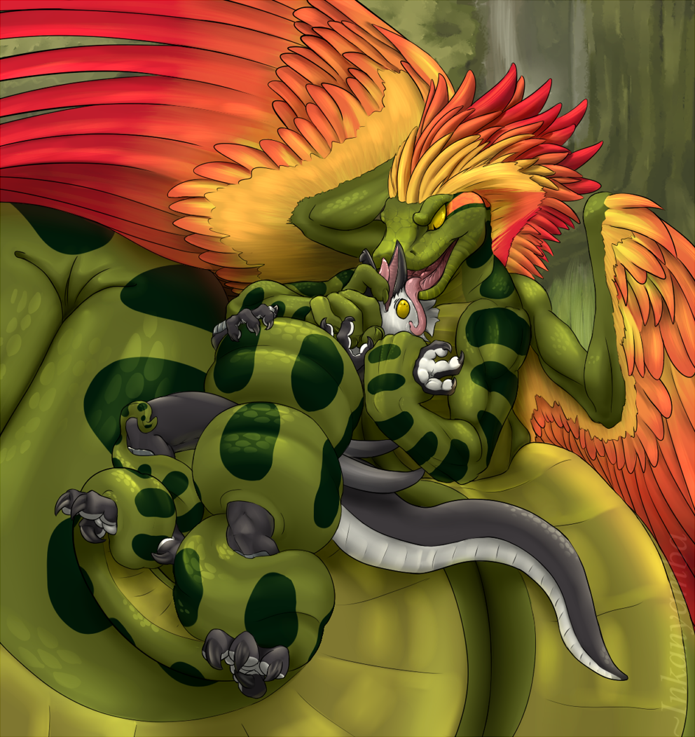 2015 3_fingers 4_toes 5_fingers anthro arm_grab asphyxiation avian bantam_(character) beak biceps bird claws coiling corvid crest crow digital_media_(artwork) dragon duo face_lick feathered_serpent feathered_wings feathers green_claws green_scales grey_beak grey_body grey_claws grey_tail hybrid imminent_vore inkanyamba_(artist) larger_male licking male multi_arm multi_limb multicolored_body multicolored_feathers multicolored_scales multicolored_tail muscular muscular_male naga open_mouth orange_feathers pink_tongue red_feathers reptile restrained scales scalie seth_(demonancer) signature size_difference smaller_anthro smaller_male snake snout squeezing thick_tail toes tongue tongue_out two_tone_body two_tone_tail vore white_body white_tail wide_eyed wings yellow_eyes yellow_feathers