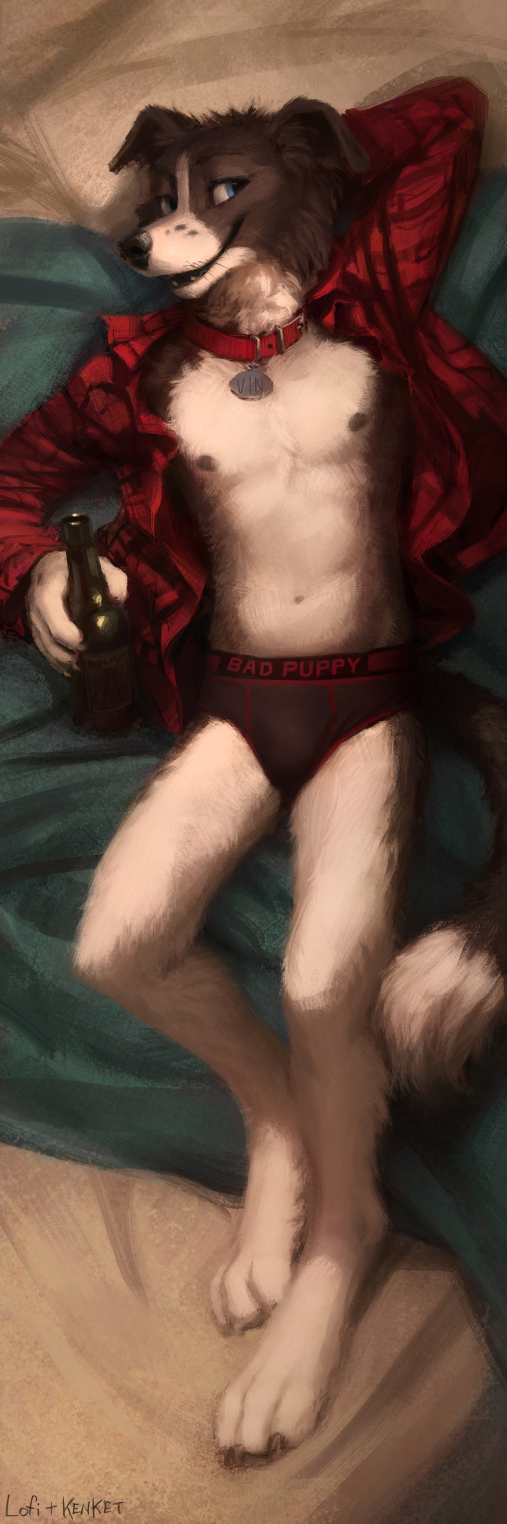 2017 :d alcohol anthro arm_above_head bed bedding beer beverage black_fur blanket blue_eyes border_collie bottle briefs canine claws clothed clothing collar collie dakimakura_design digital_media_(artwork) digital_painting_(artwork) dog english_text flannel fur hi_res holding_bottle holding_object kenket lofi lying male mammal nipples on_back on_bed open_mouth partially_clothed paws signature smile solo text underwear vin_collie white_fur