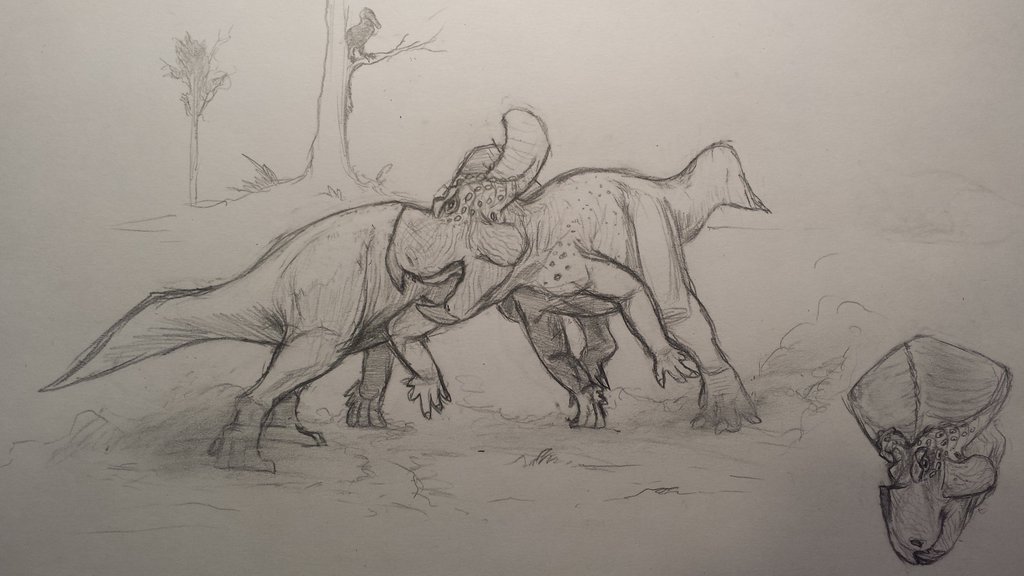 3_toes 5_fingers angry avian battle beak bird ceratopsian claws crest dinosaur fight four_legs hit protoceratops roaring scales shield study toes tongue tree