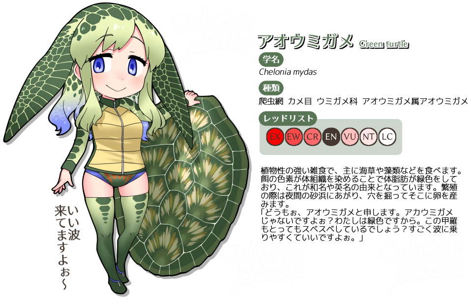 animal_humanoid blue_eyes blue_hair boots clothed clothing conservation_status female fin footwear gradient_hair green_hair hair head_fin humanoid japanese_text kemono_friends legwear long_hair marine_turtle multicolored_hair one-piece_servant reptile scalie shell smile solo swimsuit text thigh_high_boots tracksuit translation_request turtle yoshida_hideyuki