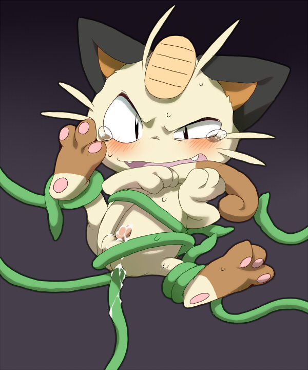 meowth nintendo pokemon tagme
