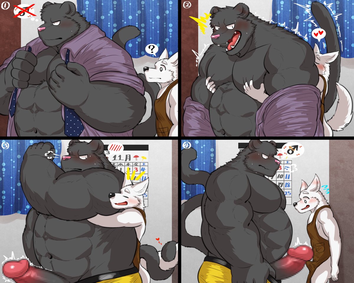 abs anthro apron belly black_body black_ears black_fur black_tail blue_necktie blush bodily_fluids canid canine censored clothed clothing duo emanata erection felid feline fur genitals hands_on_pecs larger_male male male/male mammal musclegut navel necktie nullraihigi pec_grab pecs penis size_difference sweat tail teeth tongue undressing yellow_clothing