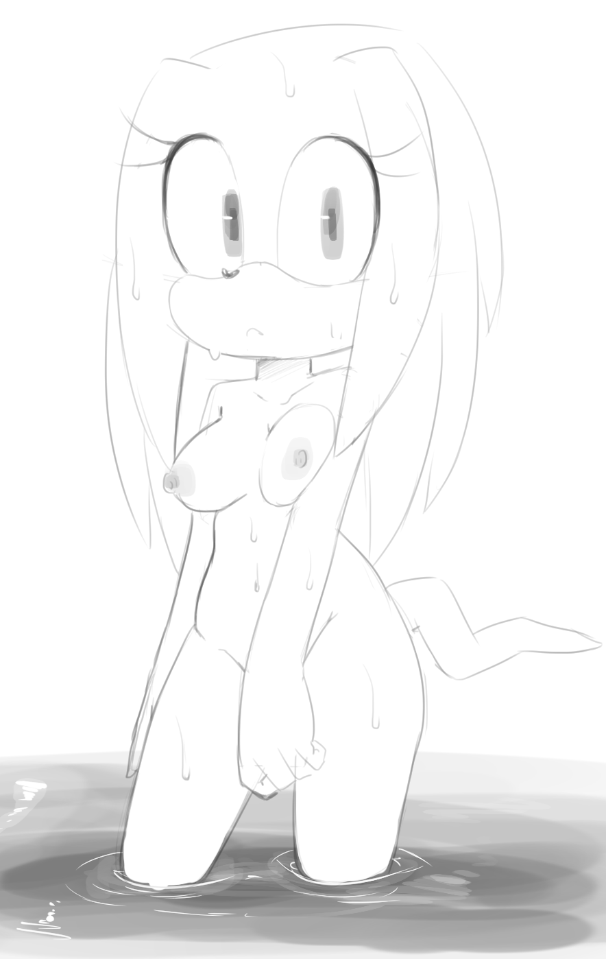 2017 anthro breasts echidna female hair hearlesssoul looking_at_viewer mammal monochrome monotreme nipples nude partially_submerged solo sonic_(series) standing tikal_the_echidna water wet