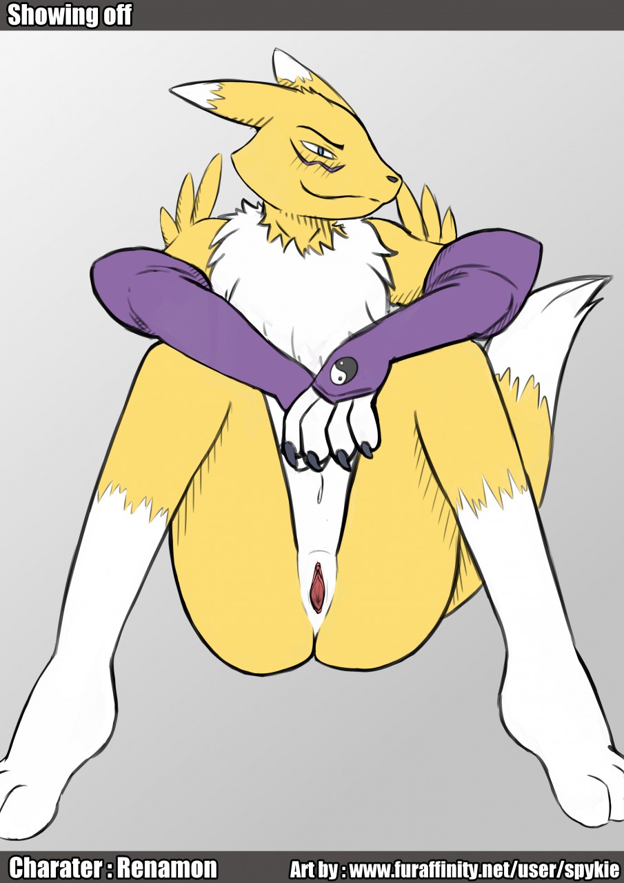 blush digimon female looking_at_viewer presenting renamon spykie