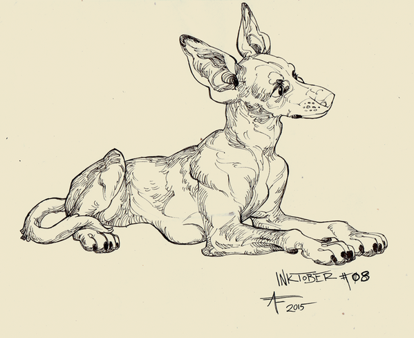 2015 ambiguous_gender aspeneyes black_and_white canine claws dog feral inktober looking_back lying mammal monochrome pawpads pharaoh_hound relaxing simple_background sketch solo white_background