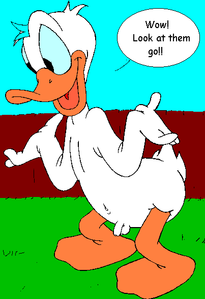 donald_duck mouseboy tagme