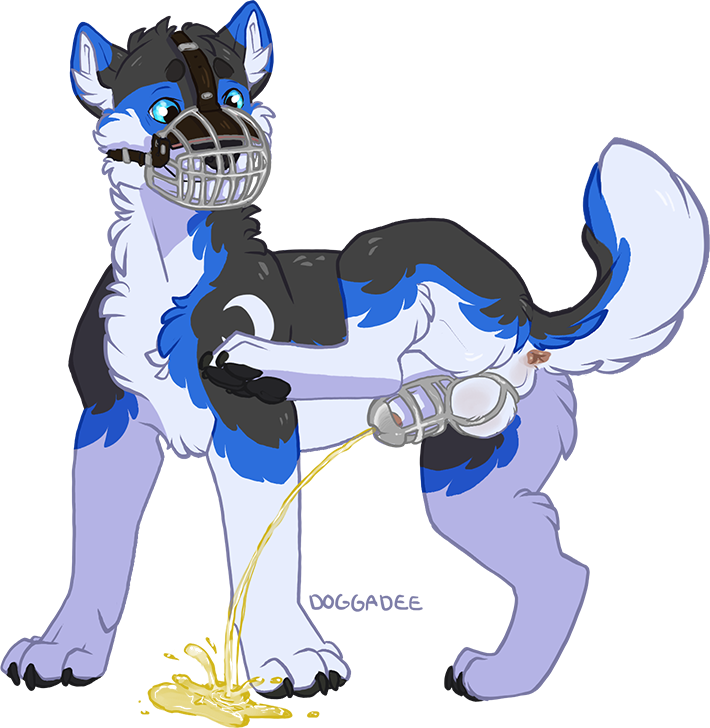 alpha_channel anatomically_correct animal_genitalia anus backsack balls blue_eyes canine chastity_cage dog doggadee feral male mammal messy muzzle_(object) muzzled paws peeing penis simple_background solo tongue transparent_background urine watersports