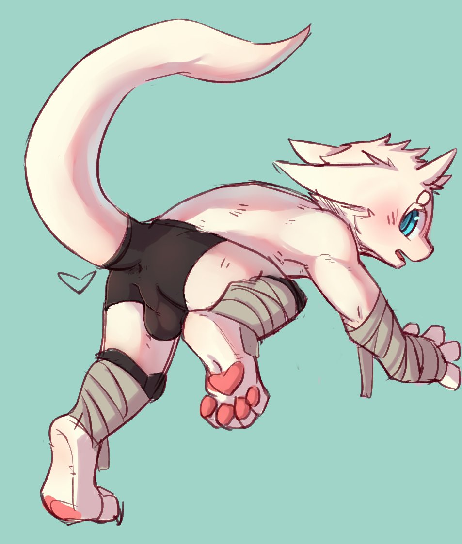 &lt;3 4_fingers 4_toes anthro anus bandage blue_eyes blush bulge clothing cydonia_xia dragon fur furred_dragon looking_back male pawpads perineum simple_background solo tight_clothing toes white_fur