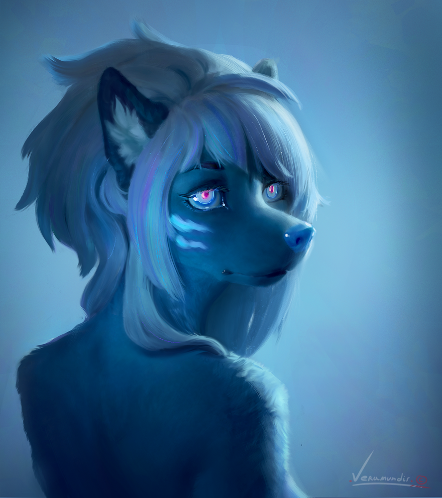 2018 anthro blue_background blue_fur canid canine female fur hair looking_at_viewer looking_back mammal simple_background solo veramundis white_hair