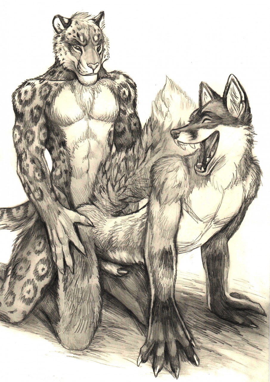 2018 5_fingers abs all_fours anal anal_penetration animal_genitalia anthro anthro_on_anthro arik athletic base_progression biceps biped black_and_white canine claws doggystyle duo eyes_closed fangs feline fluffy fluffy_tail fox from_behind_position fur hi_res interspecies jaguar kneeling male male/male male_penetrating mammal monochrome nude oakspirit pecs pencil_(artwork) penetration penis penis_tip sex sheath simple_background smile snout spots spotted_fur teeth traditional_media_(artwork) white_background