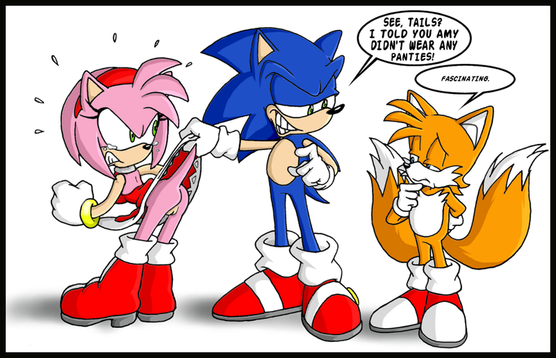 amy_rose ccn sonic_team sonic_the_hedgehog tails