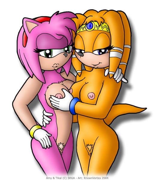 amy_rose knownvortex sonic_team tagme tikal_the_echidna