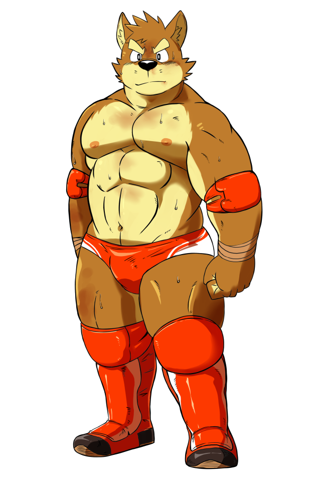 anthro armband big_muscles boots canine clothed clothing dog footwear kenta_shiba_(character) male mammal muscular muscular_male navel nipples shiba-kenta shiba_inu simple_background solo sweat topless white_background wounded wrestling wrestling_briefs