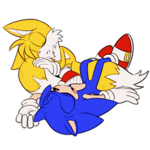 anthro canine clothing duo fox gloves hedgehog male mammal miles_prower sleeping sonic_(series) sonic_the_hedgehog syesye996 video_games