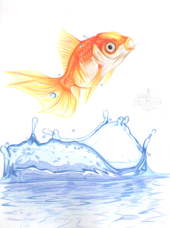 ambiguous_gender cc-by-nc creative_commons cyprinid cypriniform dorsal_fin feral fin fish goldfish graphite_(artwork) marine orange_body orange_scales pencil_(artwork) rappenem scales solo tail tail_fin traditional_media_(artwork) water