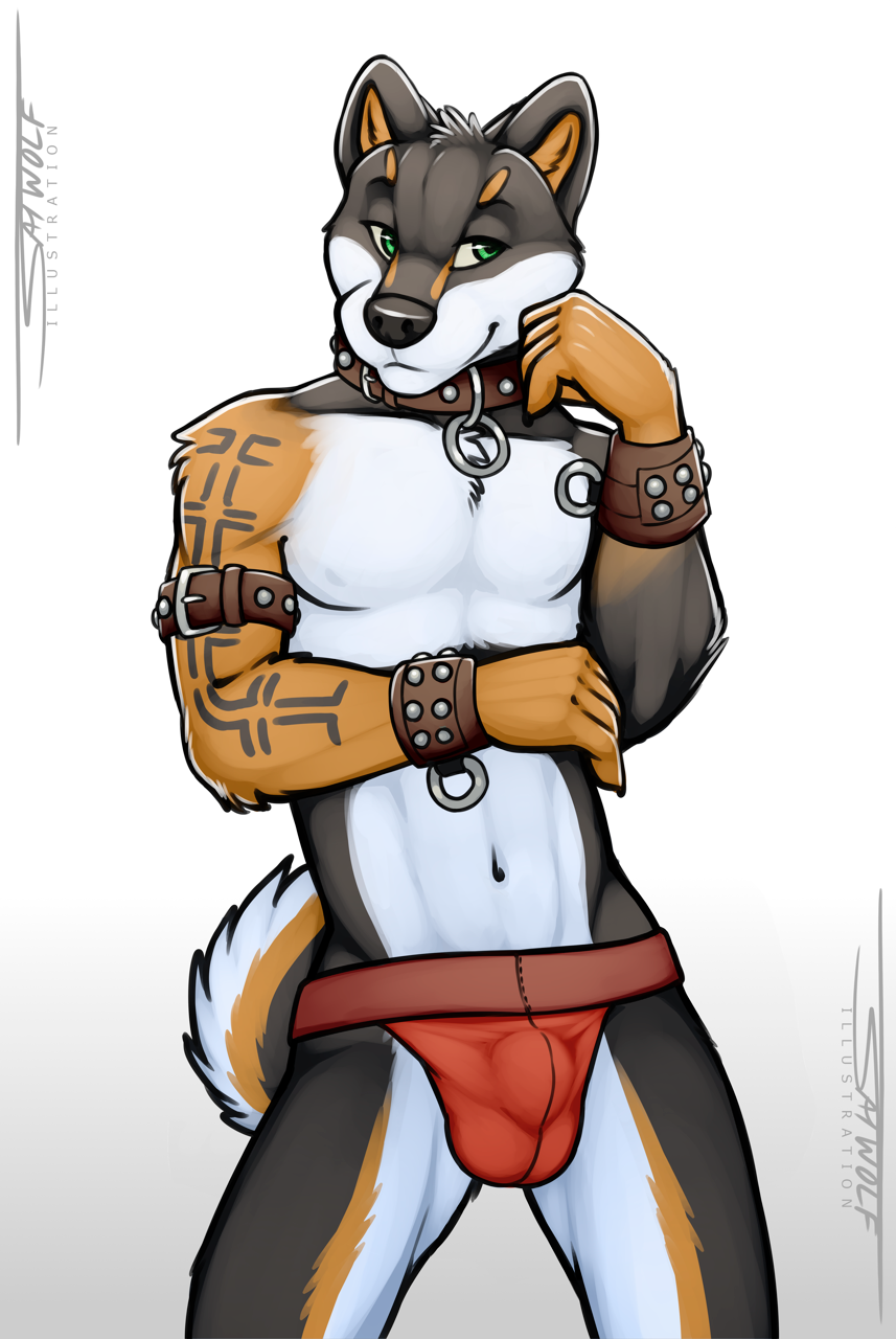 animosus bdsm belt black_fur black_nose brown_fur bulge canine claws clothing collar dog fur green_eyes grin jockstrap long_tail male mammal muscular shiba_inu smile spandex speedo spolo swimsuit tattoo tight_clothing tsaiwolf underwear white_fur