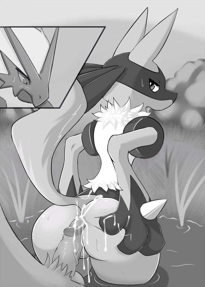after_sex ambiguous_gender anal anal_penetration anthro anthro_on_anthro anus backsack balls blaziken butt celescario cum cum_in_ass cum_inside cum_on_butt duo grass hand_on_butt looking_back lucario male male/ambiguous monochrome nintendo outside penetration penis pok&eacute;mon pok&eacute;mon_(species) raised_tail solo_focus spike_(disambiguation) video_games water