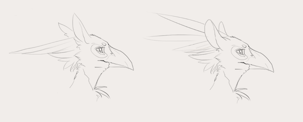anthro avian beak bird cat_ears_(disambiguation) design feline gryphon hd01 mammal practice simple_background sketch toucan white_background